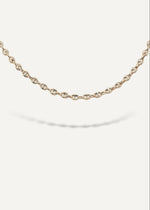 Solid 14k gold chain bracelet on a white background from SB Studio previously The Sparkle Bar