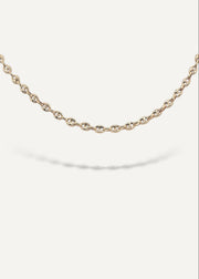Solid 14k gold chain bracelet on a white background from SB Studio previously The Sparkle Bar